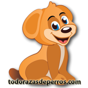 Todorazadeperros