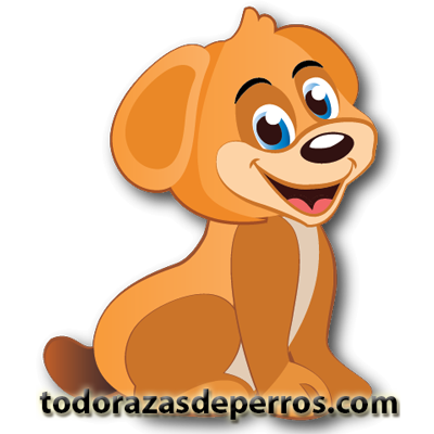 Todorazadeperros