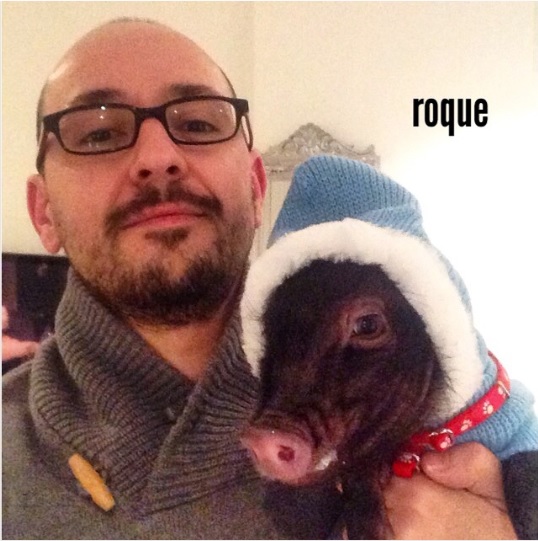 Entrevista al blog Roque Minipig